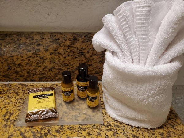 Best Western Plus Milwaukee Airport Hotel & Conference Center image 18